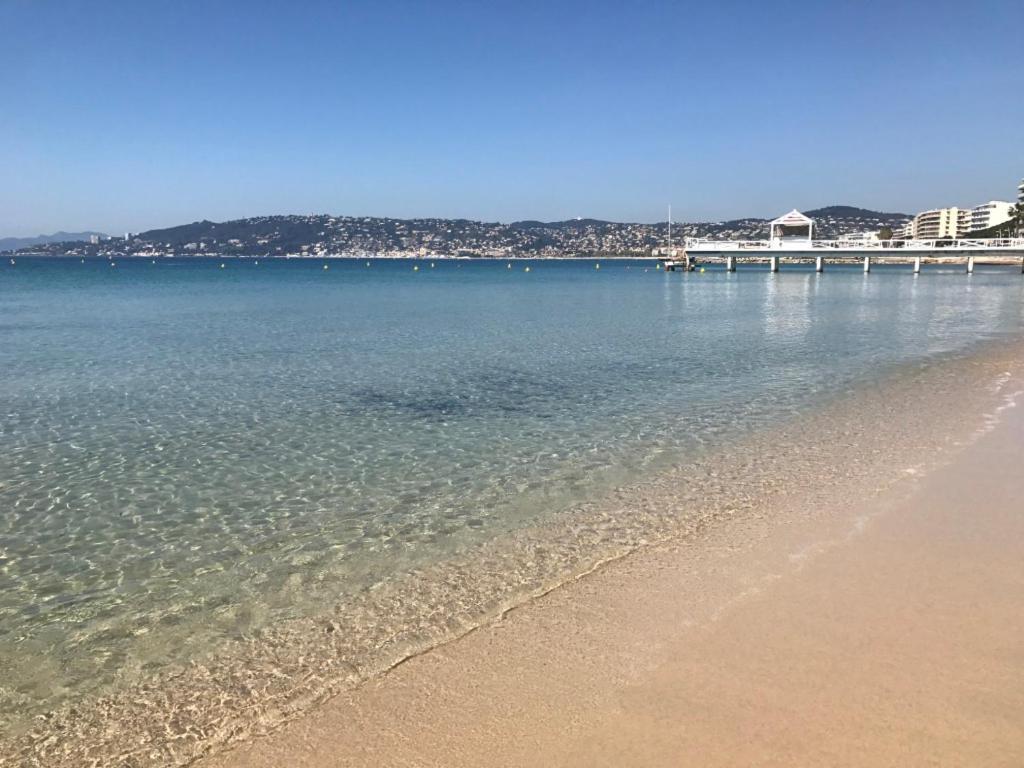 Beau Studio Centre Juan Les Pins A 300M Des Plages أنتيب المظهر الخارجي الصورة